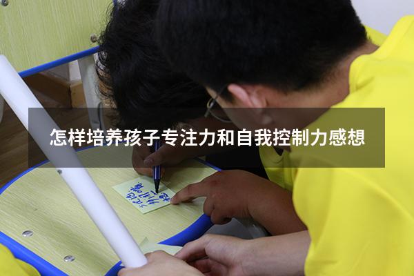 怎样培养孩子专注力和自我控制力 感想